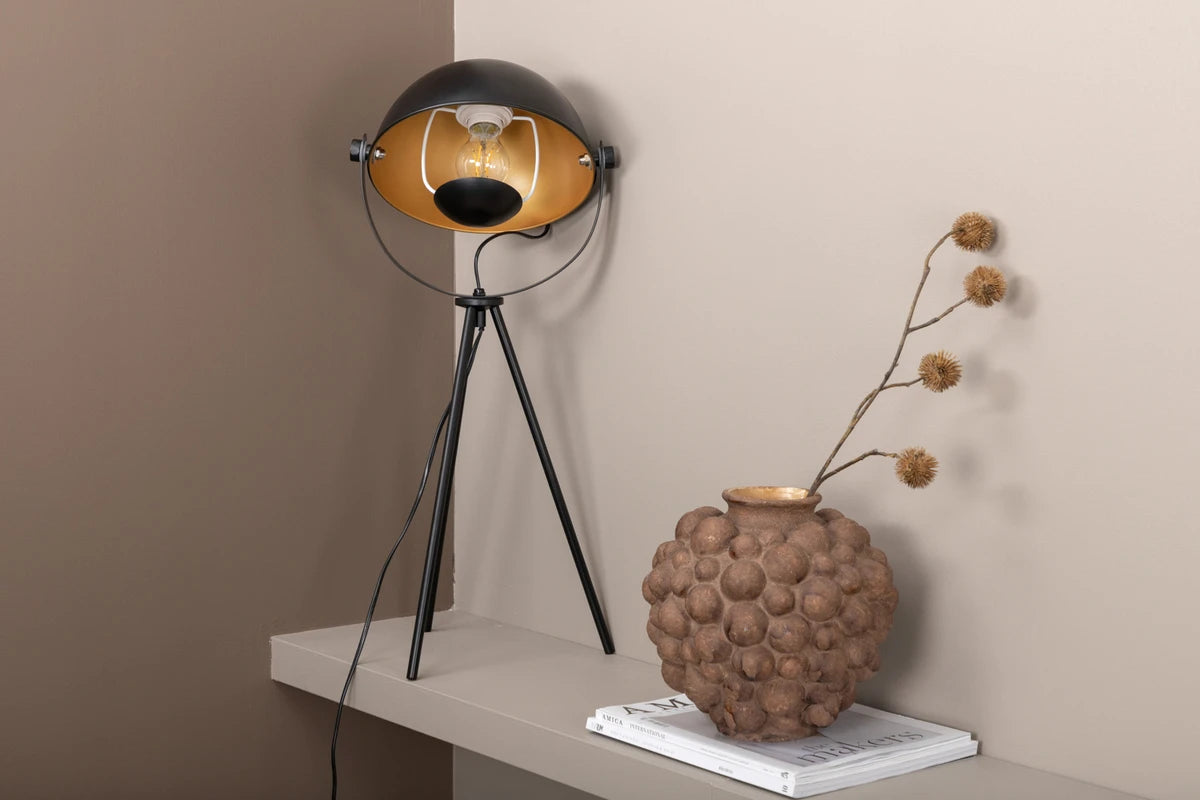 Search - Bord Lampa