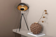 Search - Bord Lampa