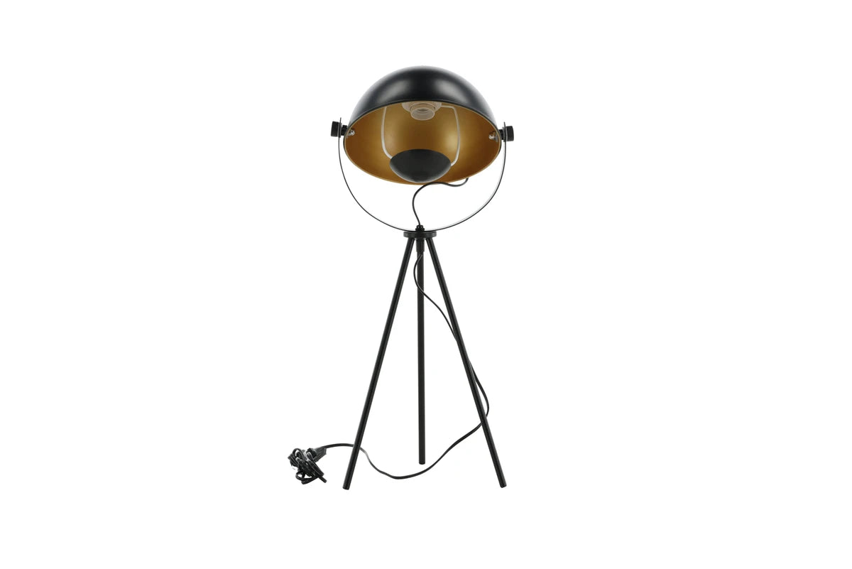 Search - Bord Lampa