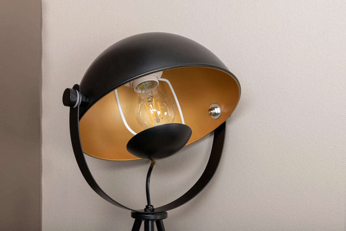 Search - Bord Lampa