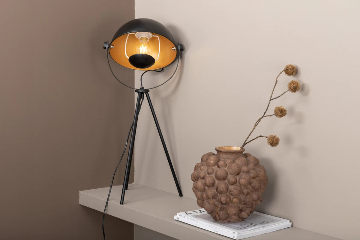 Search - Bord Lampa